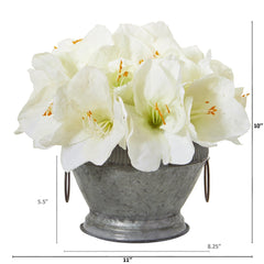 10” Amaryllis Arrangement in Bowl with Copper Trimming