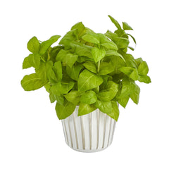10” Basil Artificial Plant in White Planter with Silver Trimming