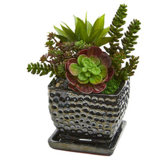 10" Succulent Garden Artificial Plant in Black Planter"