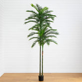 10' UV Resistant Artificial Double Robellini Palm Tree (Indoor/Outdoor)