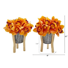 11” Cymbidium Orchid in Tin Vase with Legs (Set of 2)
