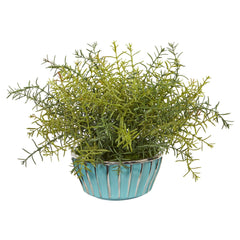 11” Rosemary Artificial Plant in Turquoise Bowl with Silver Trimming