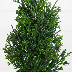 12” Artificial Mini Christmas Cedar Pine Tree in Metal Tin Planter - Set of 2