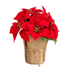 13” Artificial Red Velvet Poinsettia Arrangement in Burlap Planter