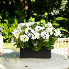 13” Geranium in Rectangular Planter UV Resistant (Indoor/Outdoor)