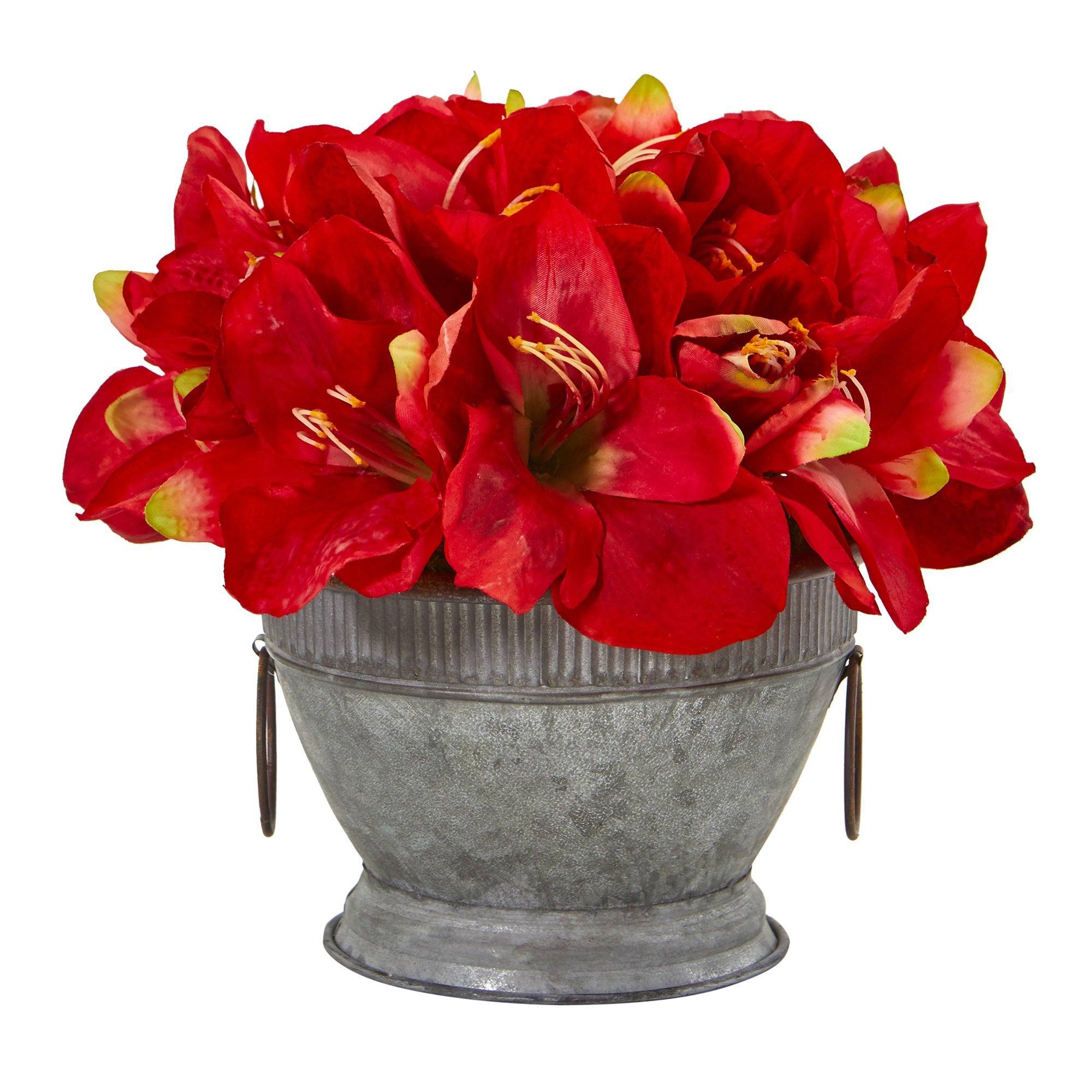 10” Amaryllis Arrangement in Bowl with Copper Trimming