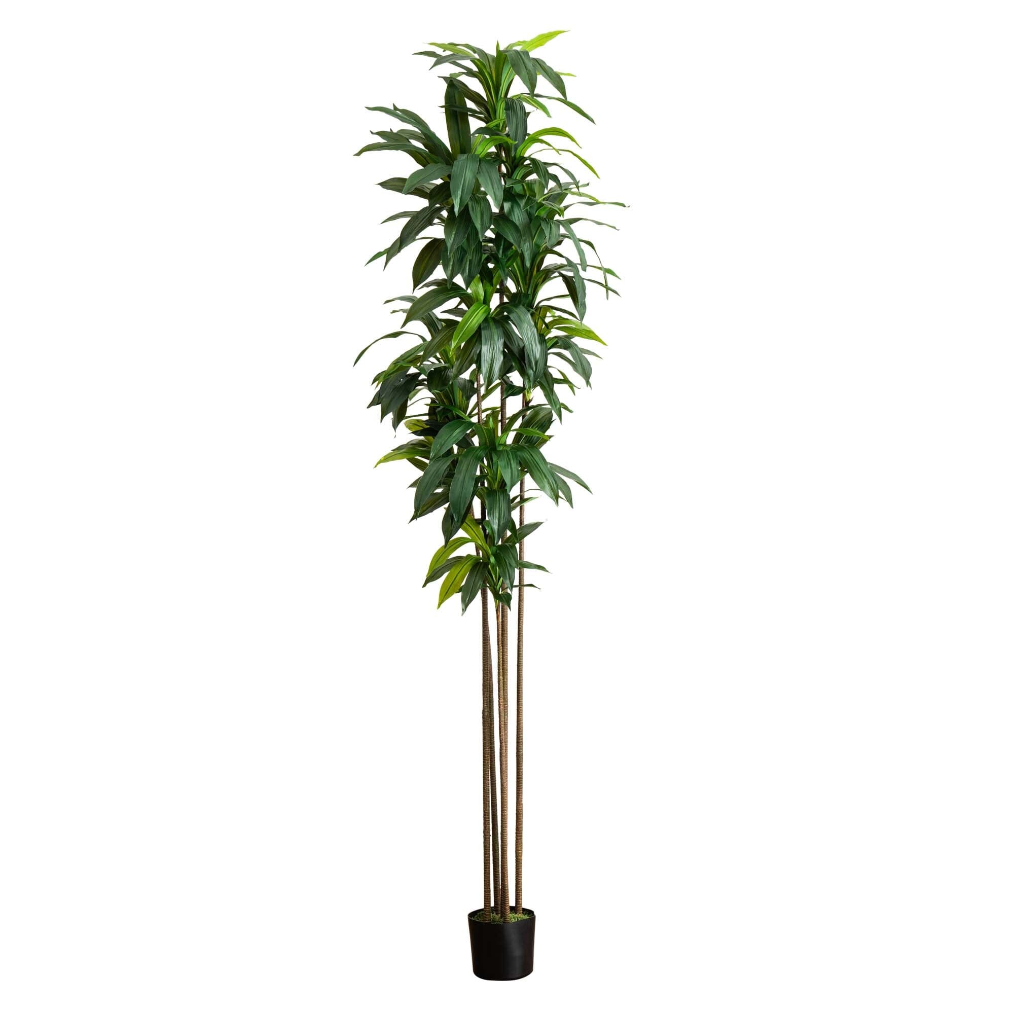 10' Artificial Dracaena Tree with Real Touch Leaves