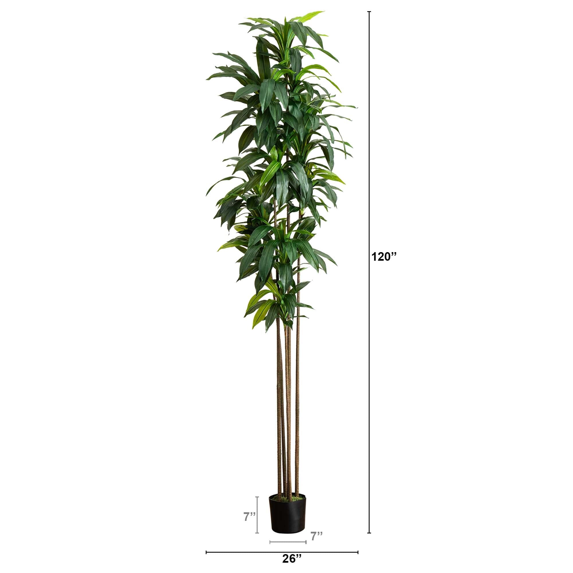 10' Artificial Dracaena Tree with Real Touch Leaves
