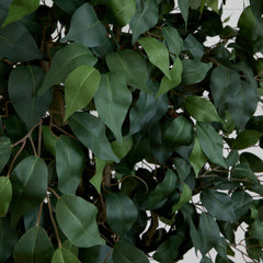 10' Artificial Ficus Tree
