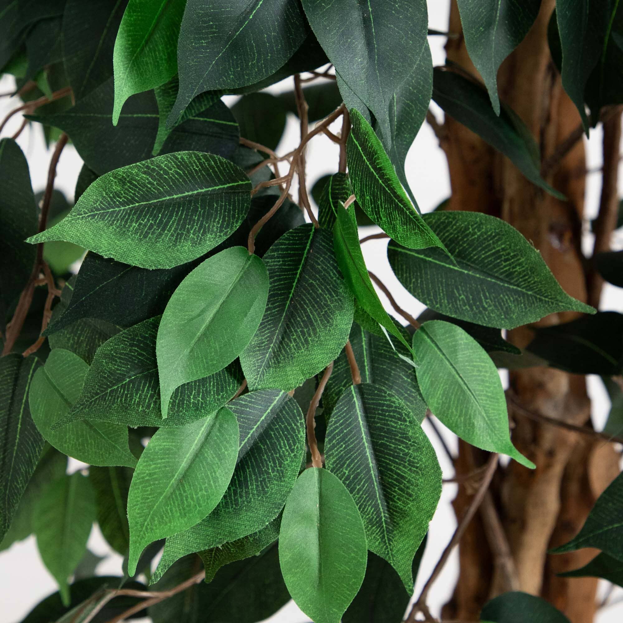 10' Artificial Ficus Tree with Natural Trunk