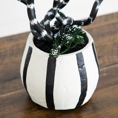 10” Artificial Halloween Midnight Stripe Snake Plant in Decorative Planter