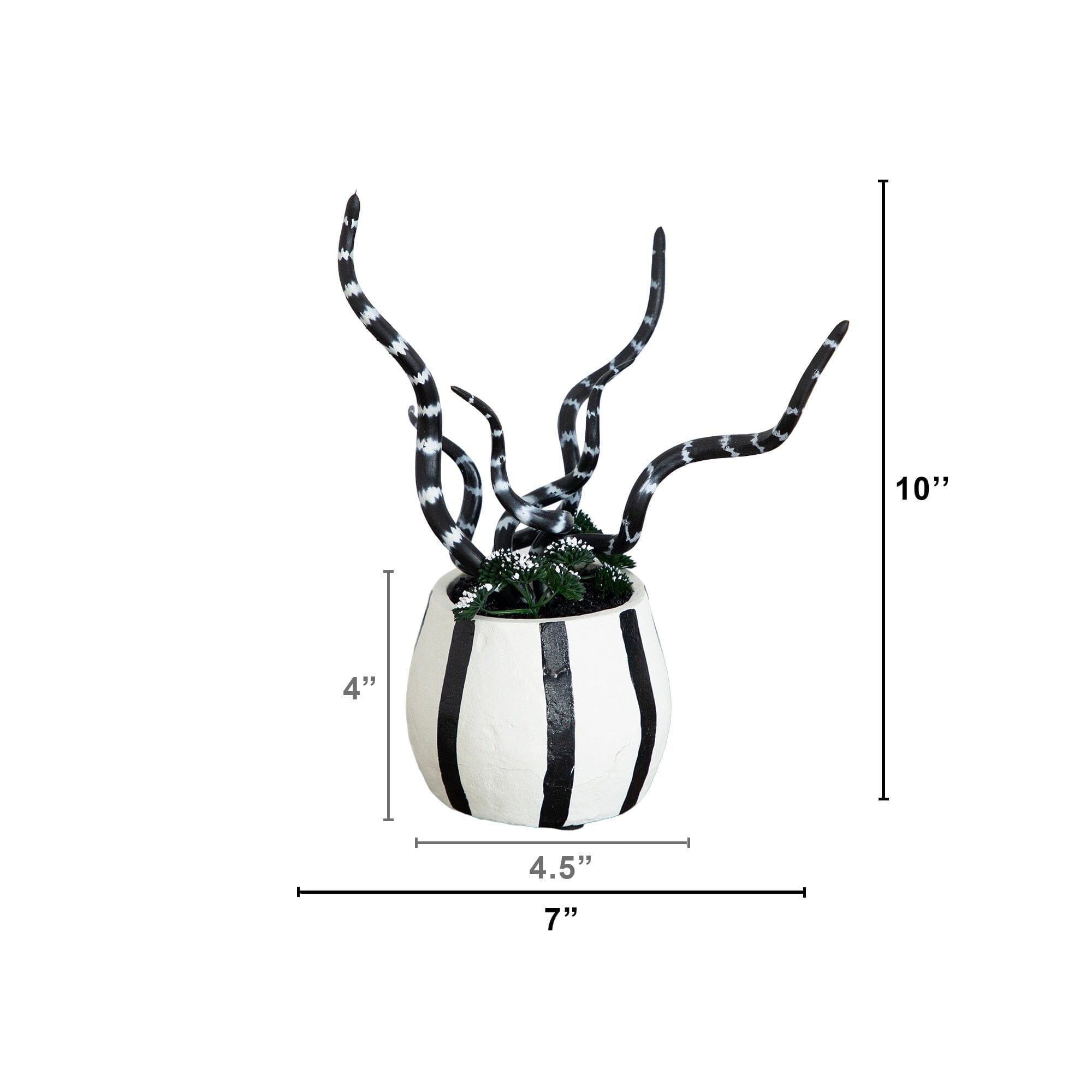 10” Artificial Halloween Midnight Stripe Snake Plant in Decorative Planter