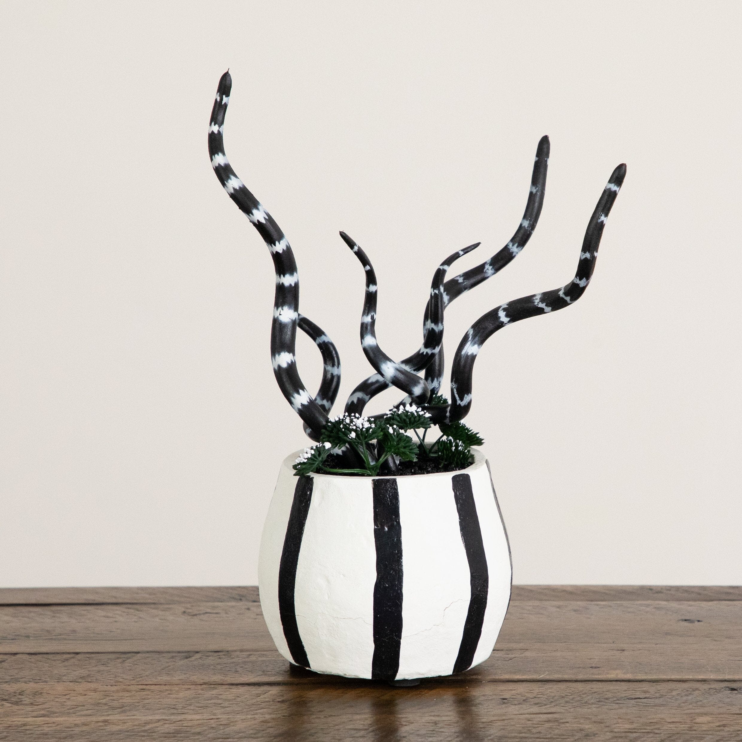 10” Artificial Halloween Midnight Stripe Snake Plant in Decorative Planter
