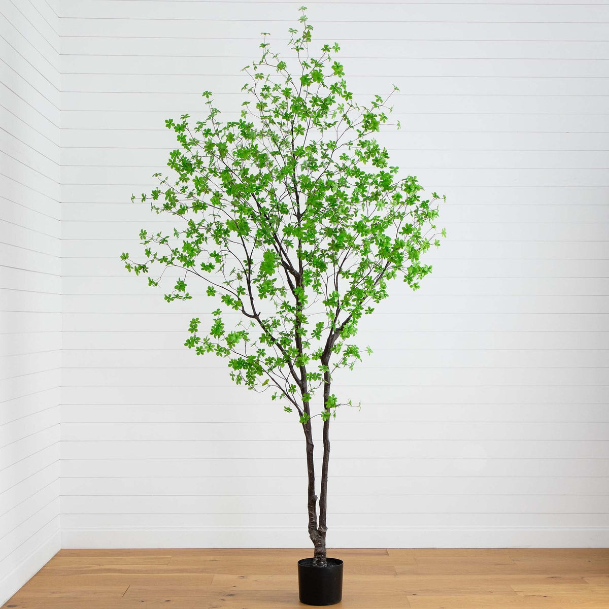 10' Artificial Minimalist Enkianthus Tree