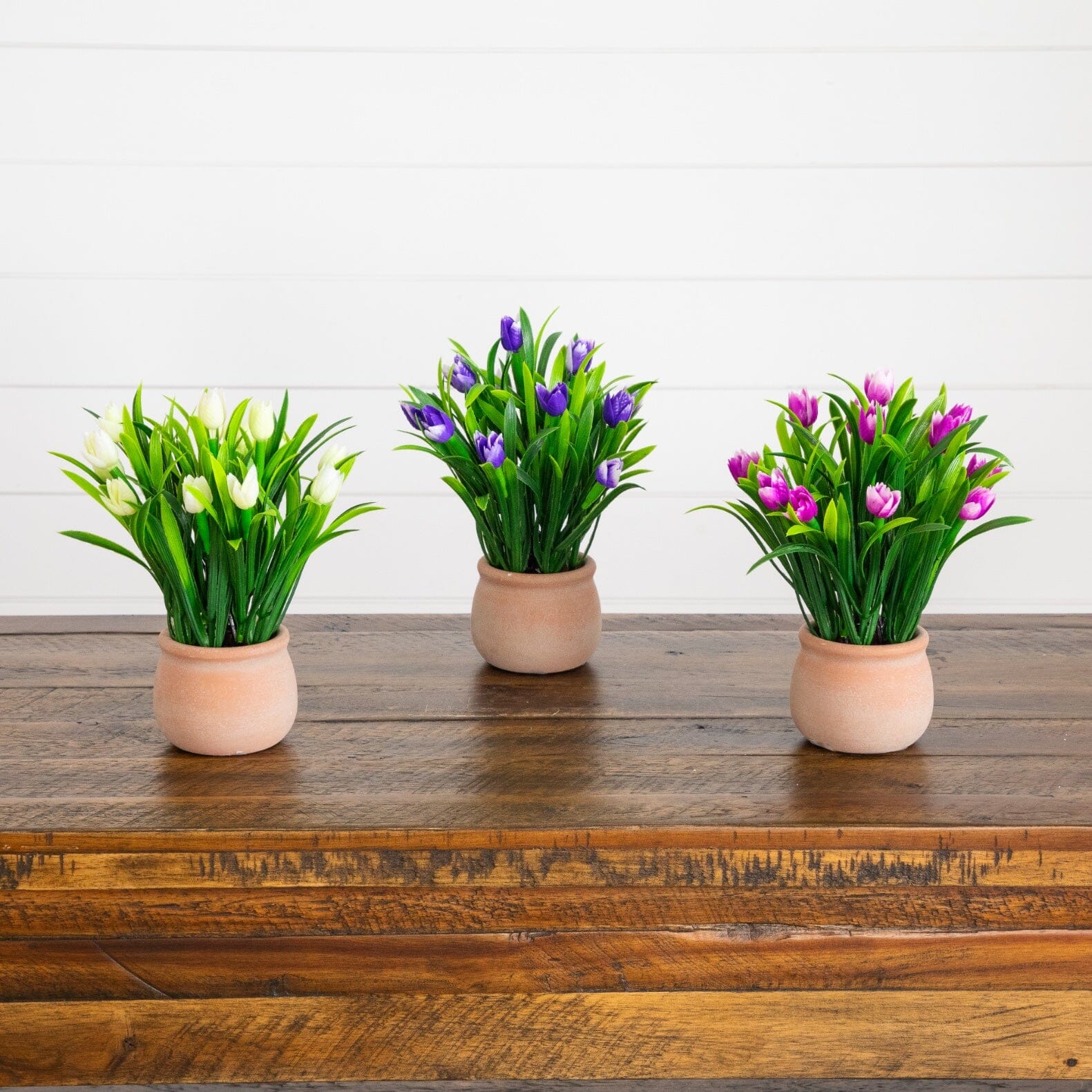 10” Artificial Tulip Plant in Ceramic Planter -Set of 3