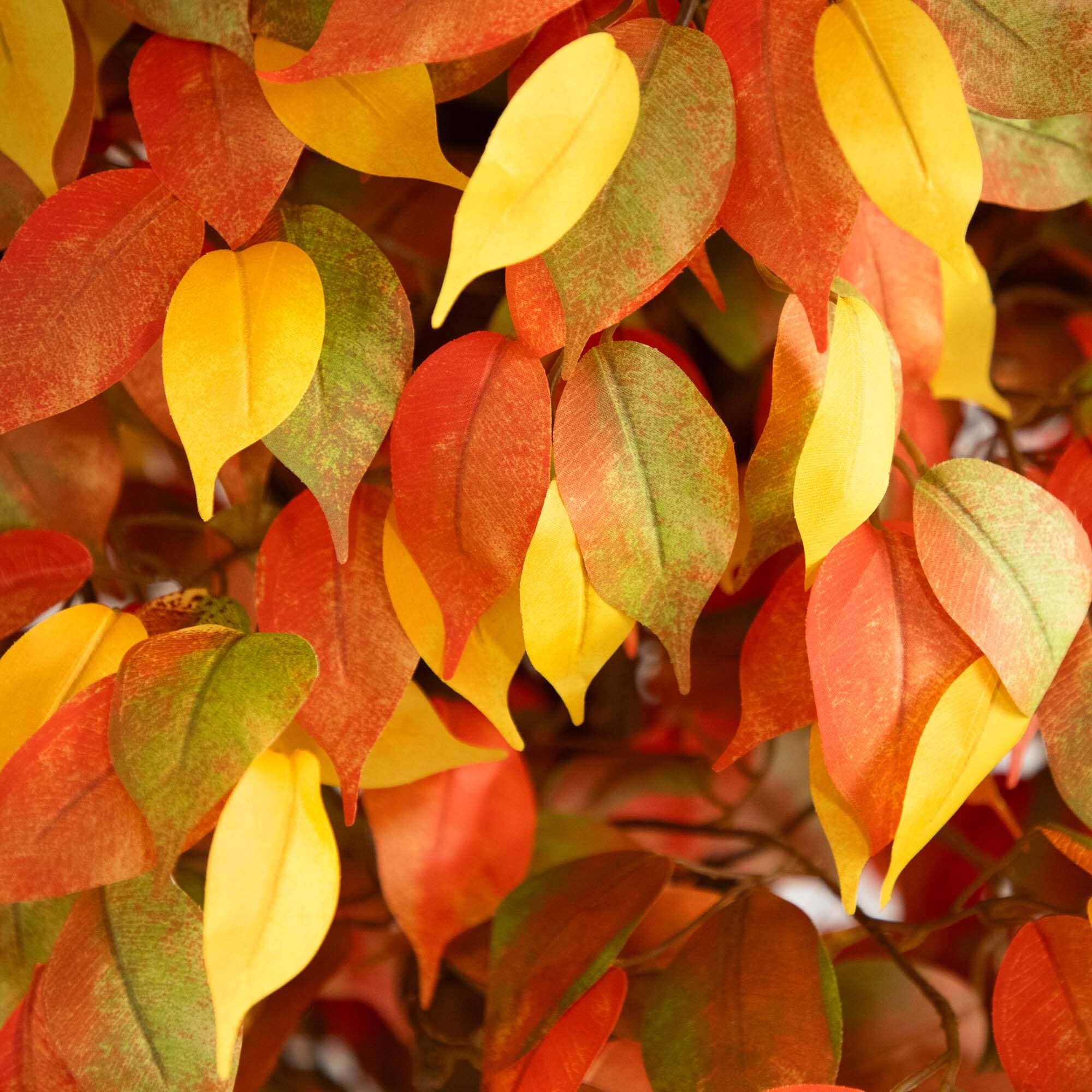 10' Autumn Ficus Artificial Fall Tree