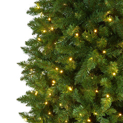 10' Slim Green Mountain Pine Artificial Christmas Tree with 800 Clear LED Lights
