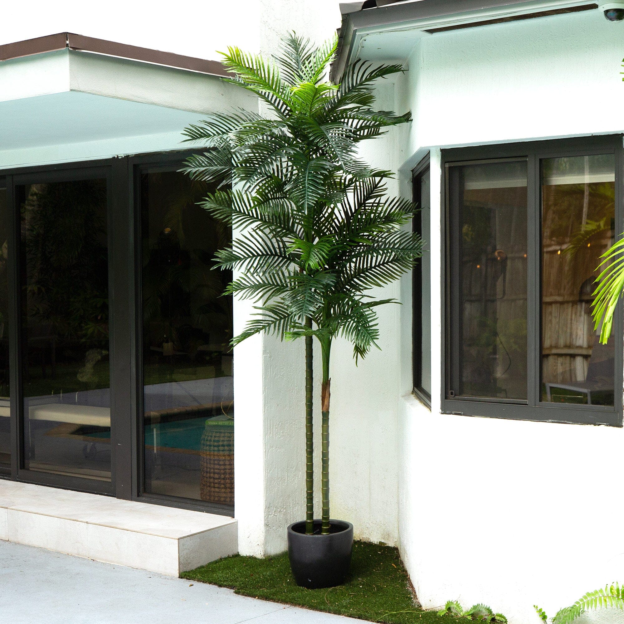 10' UV Resistant Artificial Double Robellini Palm Tree (Indoor/Outdoor)