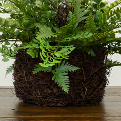 11" Artificial Mixed Fern Plant with Twig and Moss Basket