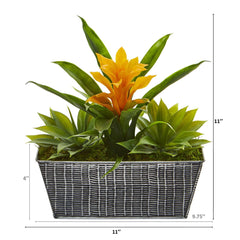 11” Bromeliad and Agave Plant in Black Tin Planter