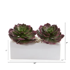 11” Echeveria Succulent Artificial Plant in White Planter