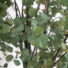 12' Artificial Eucalyptus Tree