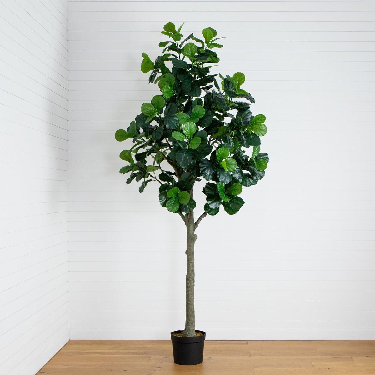 12' Artificial Fiddle Leaf Tree