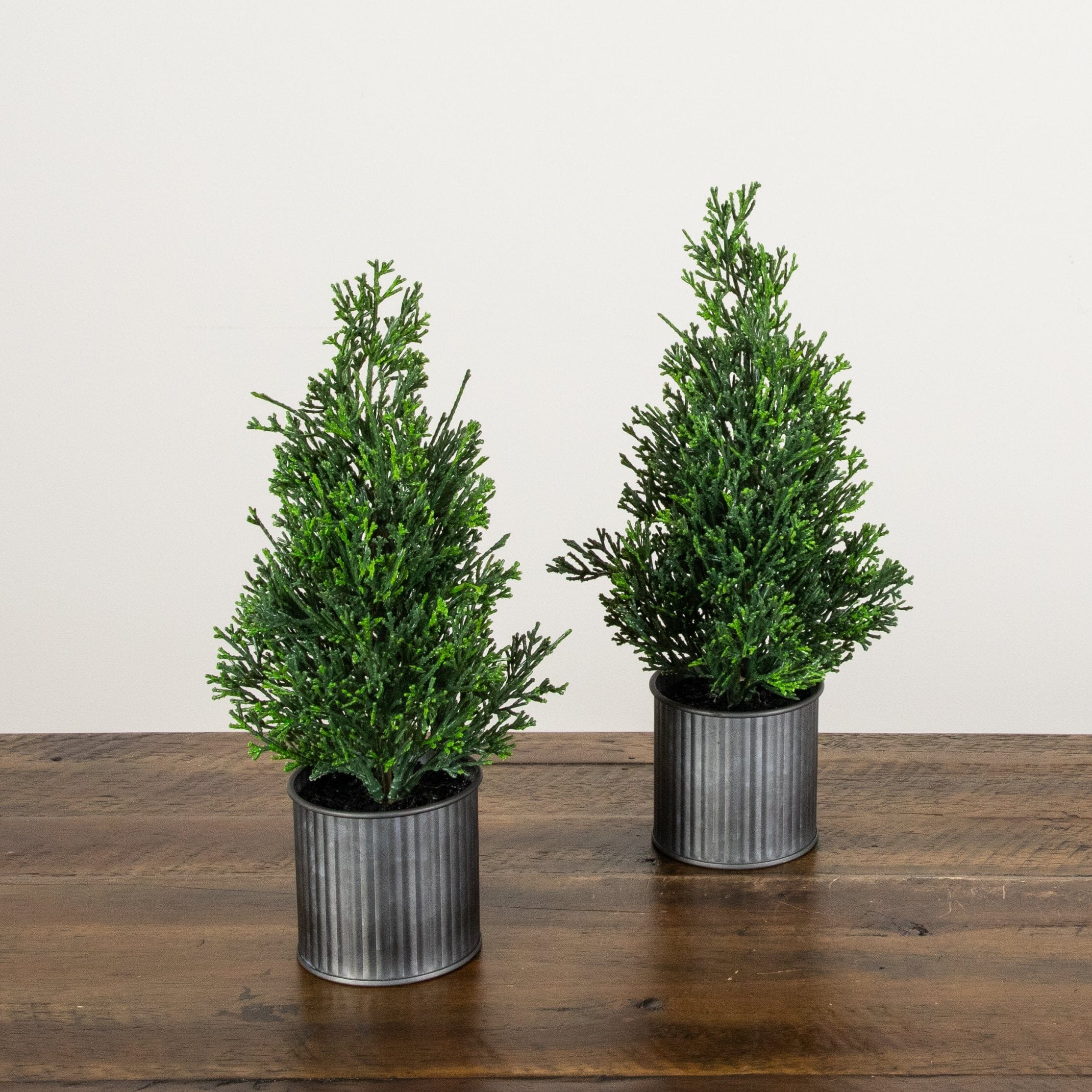 12” Artificial Mini Christmas Cedar Pine Tree in Metal Tin Planter - Set of 2