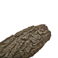 12'' Artificial Tree Bark (Set of 6)