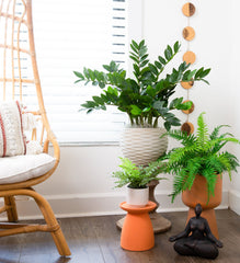 13" Artificial Boston Fern Plant with Decorative Planter