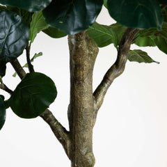 13' Artificial Fiddle Leaf Fig Tree