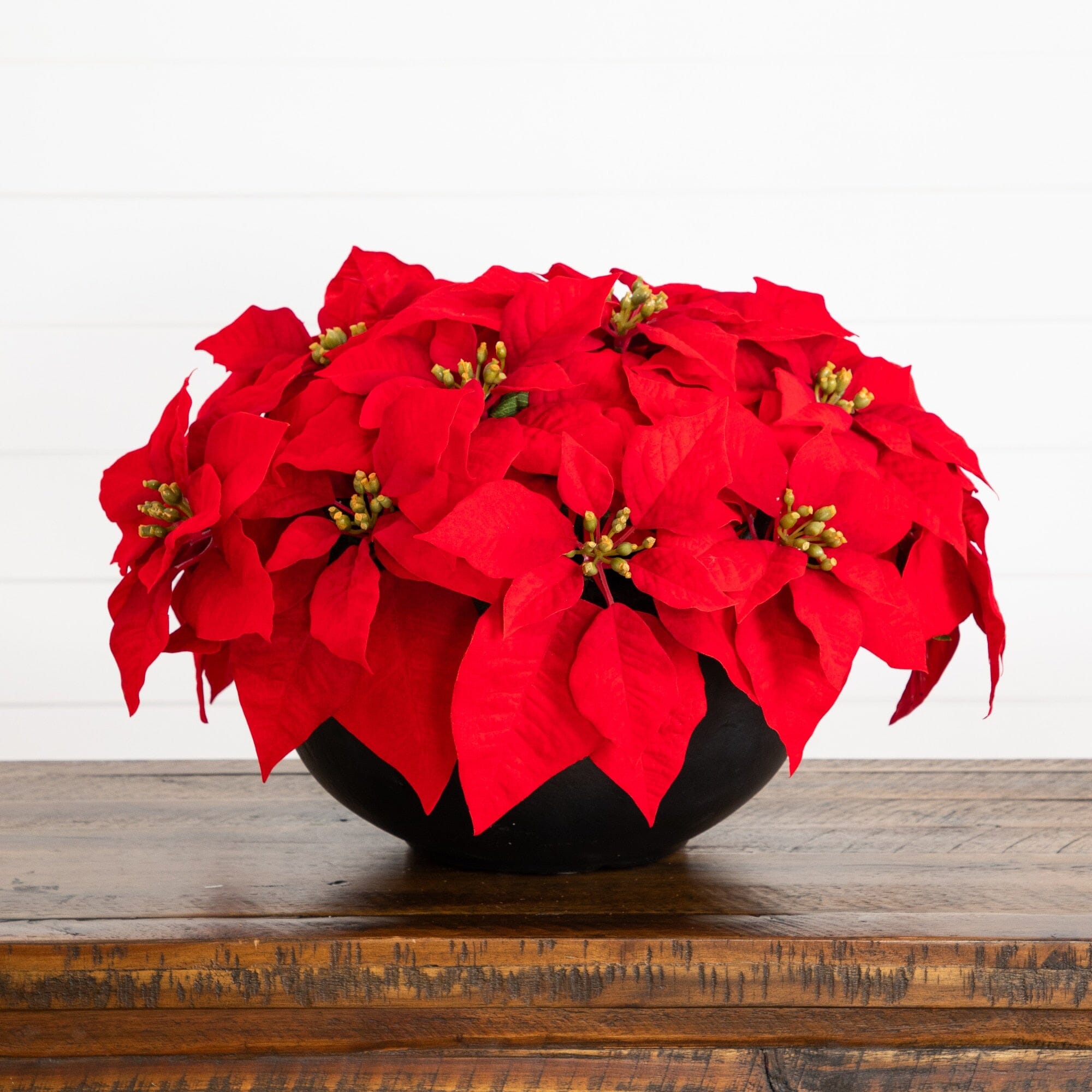 13” Artificial Red Velvet Poinsettia Arrangement in Black Oval Planter