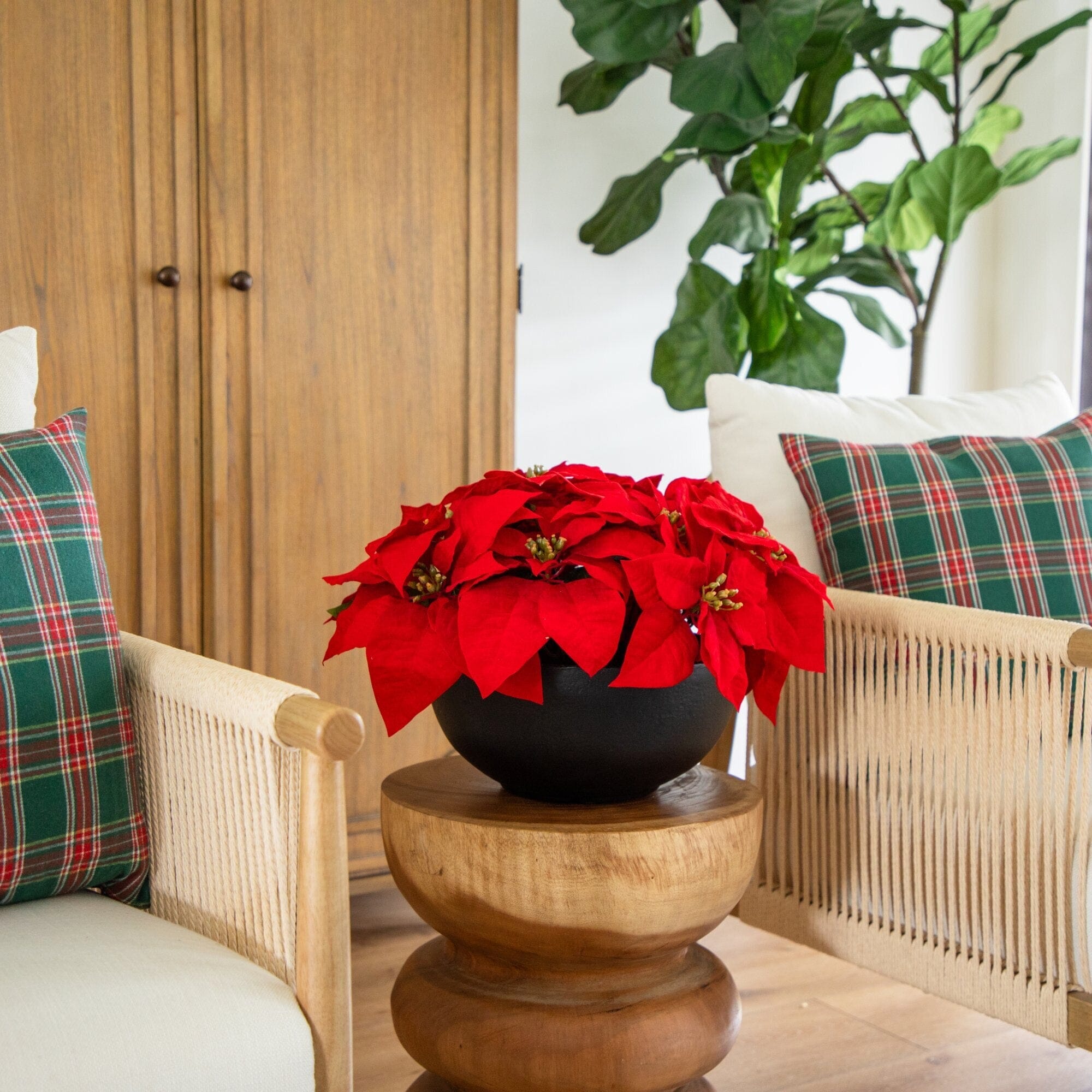 13” Artificial Red Velvet Poinsettia Arrangement in Black Oval Planter