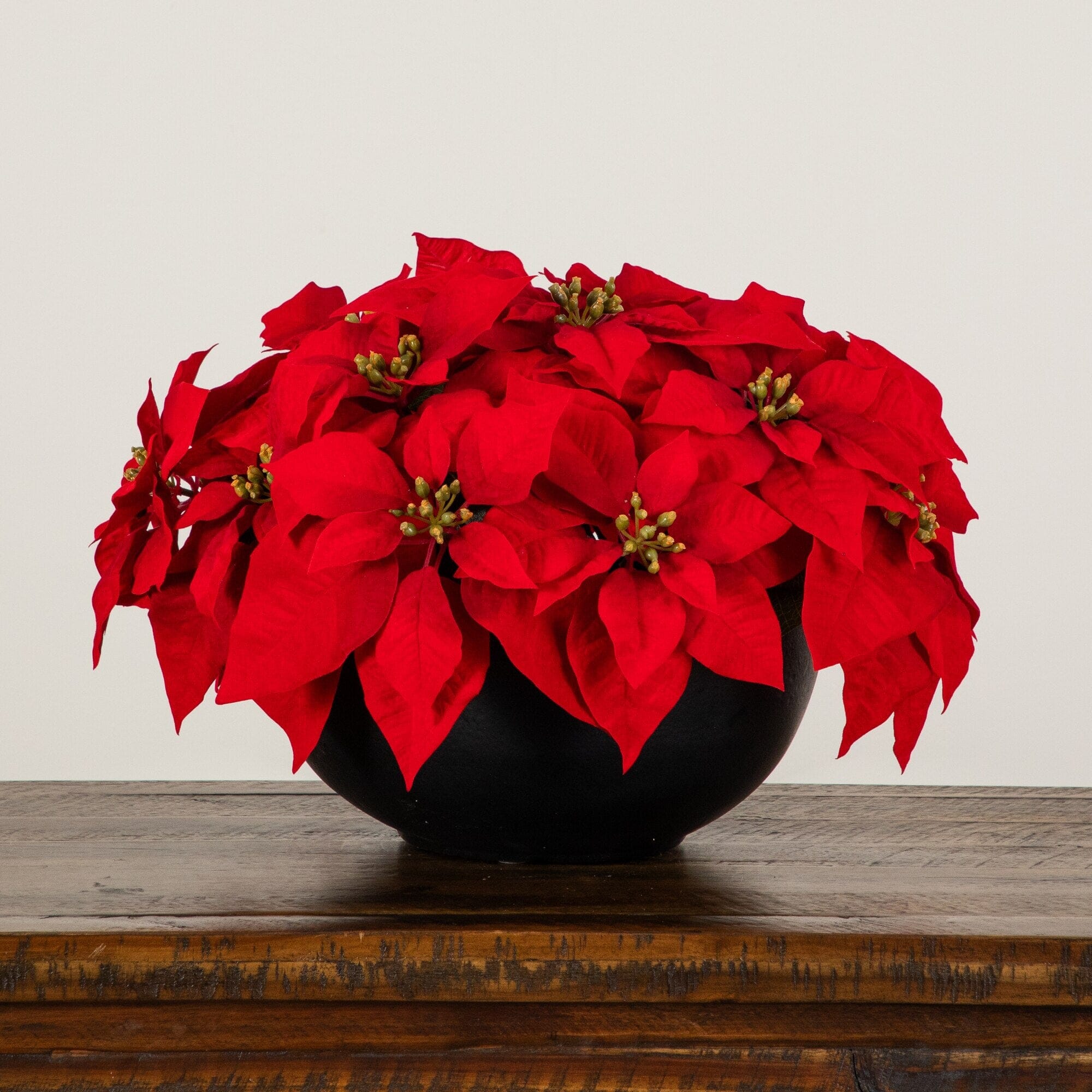 13” Artificial Red Velvet Poinsettia Arrangement in Black Oval Planter