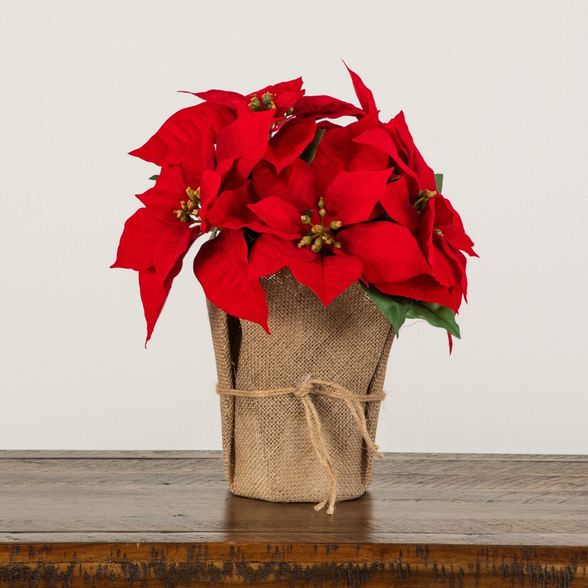 13” Artificial Red Velvet Poinsettia Arrangement in Burlap Planter