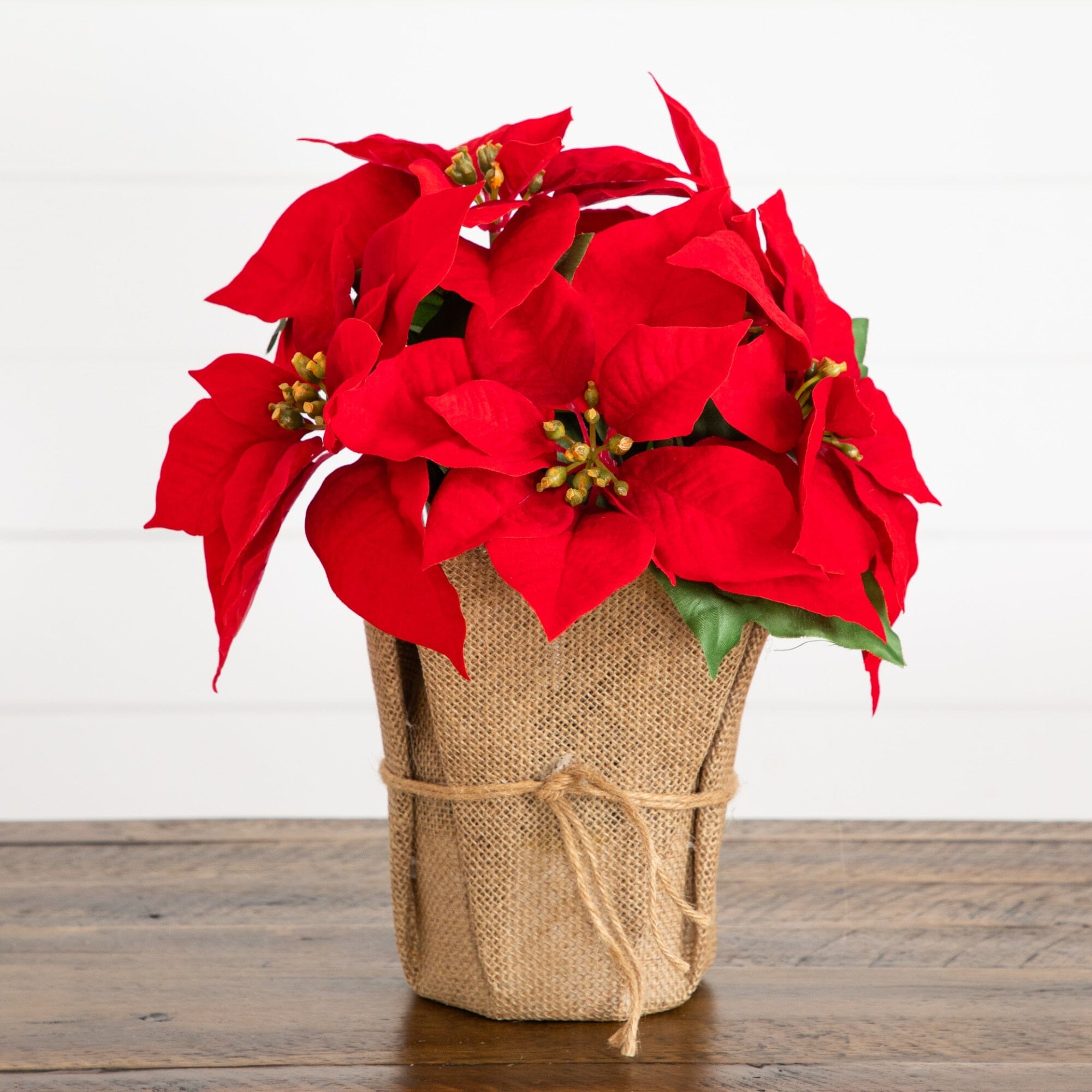 13” Artificial Red Velvet Poinsettia Arrangement in Burlap Planter