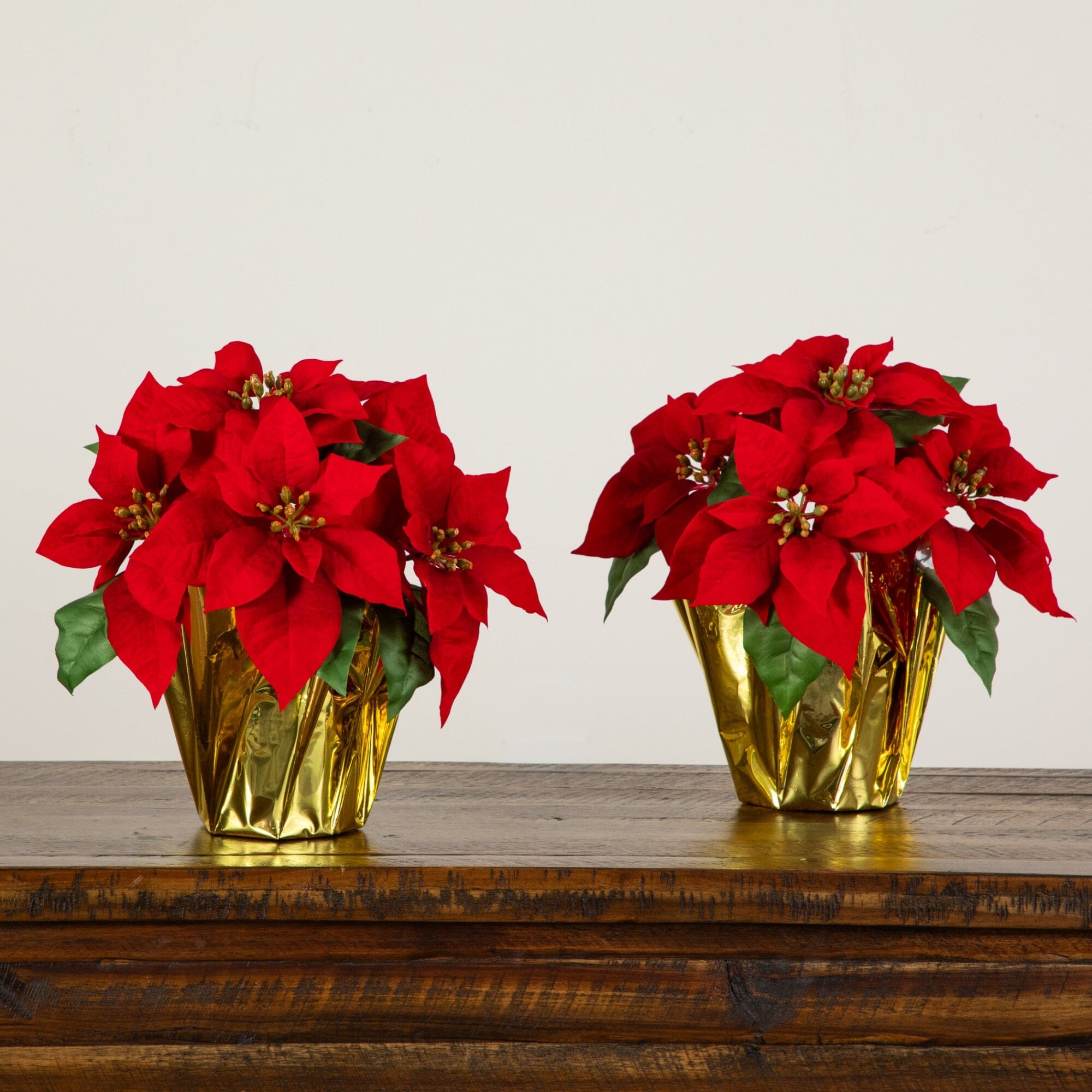 13” Artificial Red Velvet Poinsettia Arrangement in Gold Wrapped Planter - Set of 2