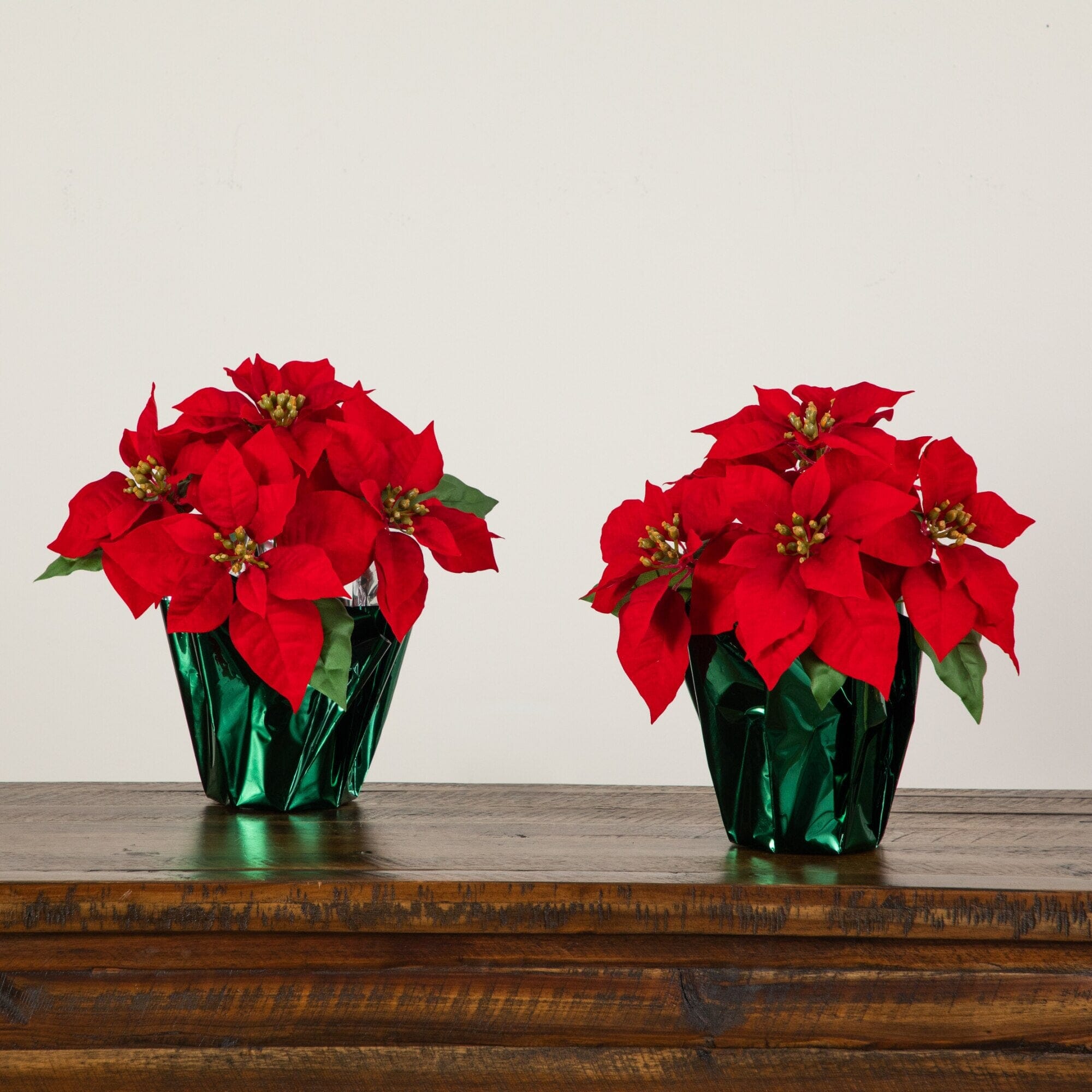 13” Artificial Red Velvet Poinsettia Arrangement in Green Wrapped Planter - Set of 2