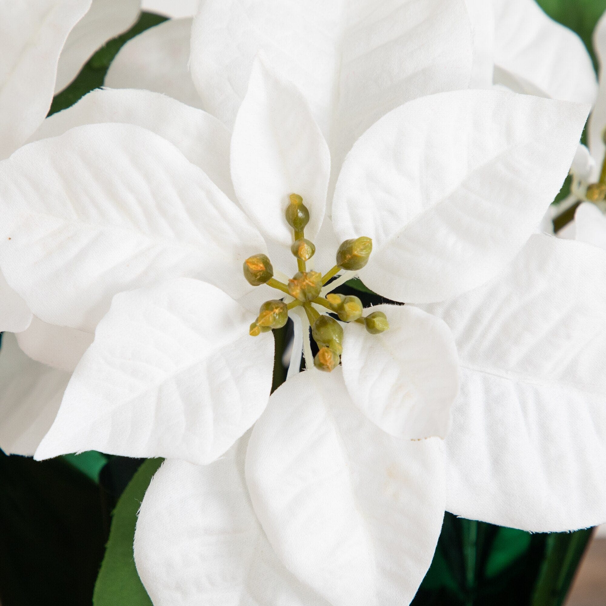 13” Artificial White Velvet Poinsettia Arrangement in Green Wrapped Planter - Set of 2
