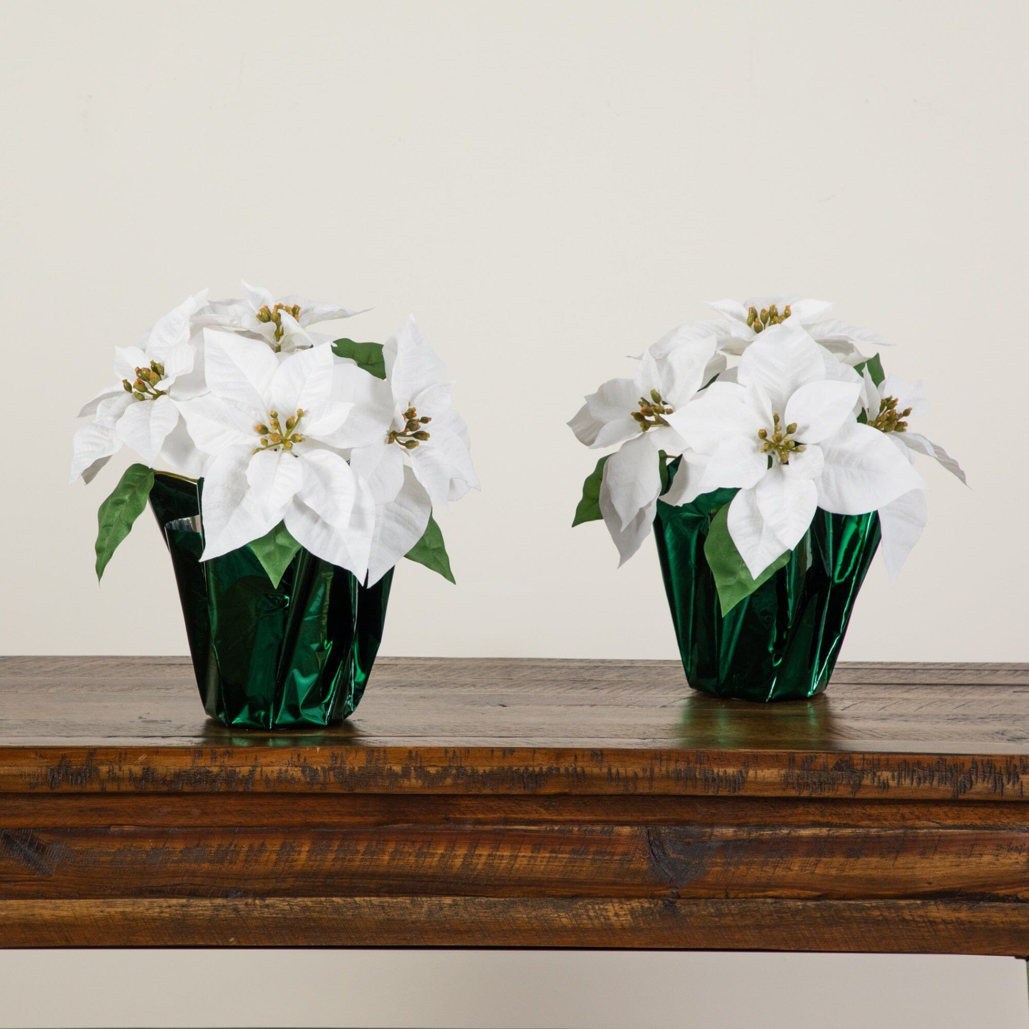 13” Artificial White Velvet Poinsettia Arrangement in Green Wrapped Planter - Set of 2