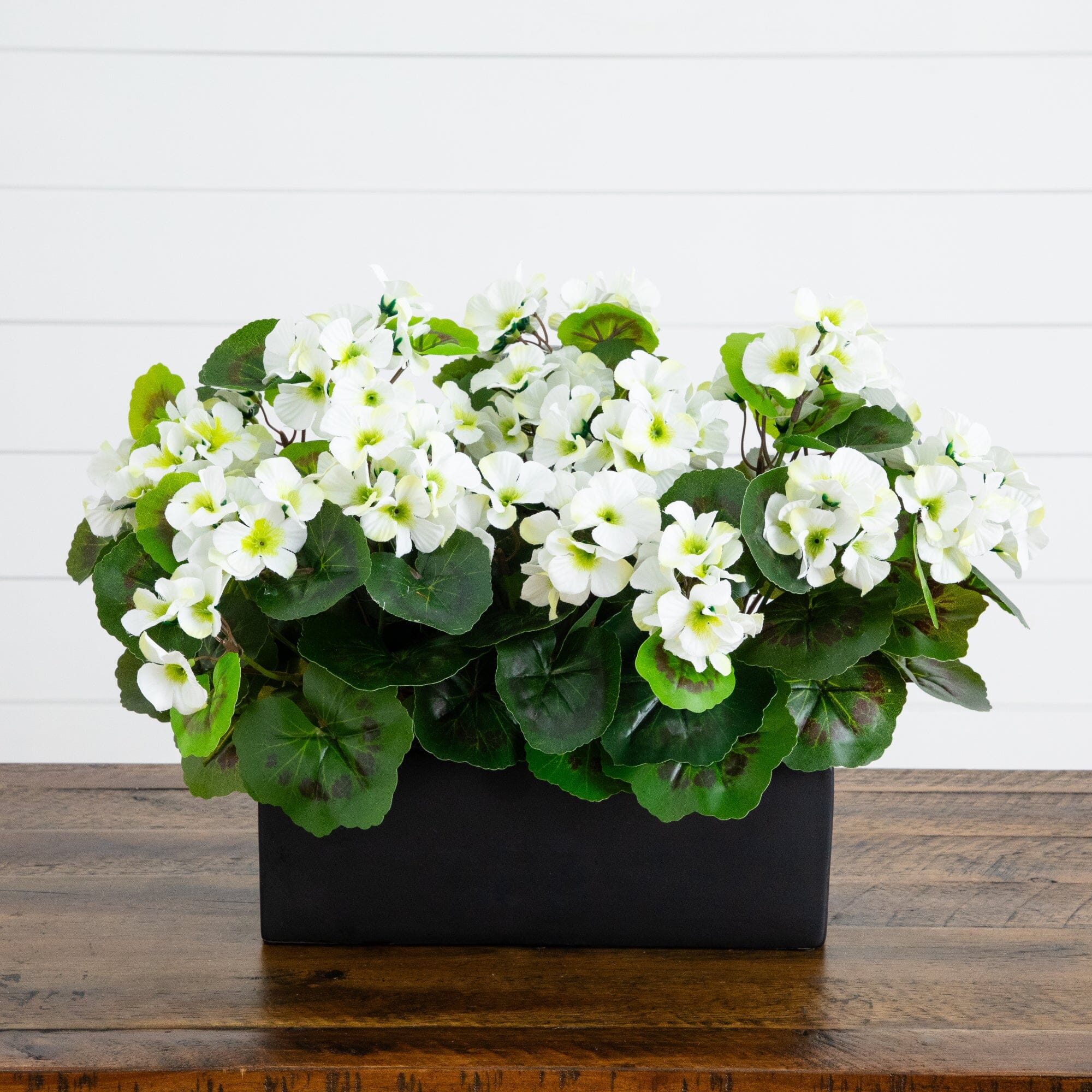 13” Geranium in Rectangular Planter UV Resistant (Indoor/Outdoor)