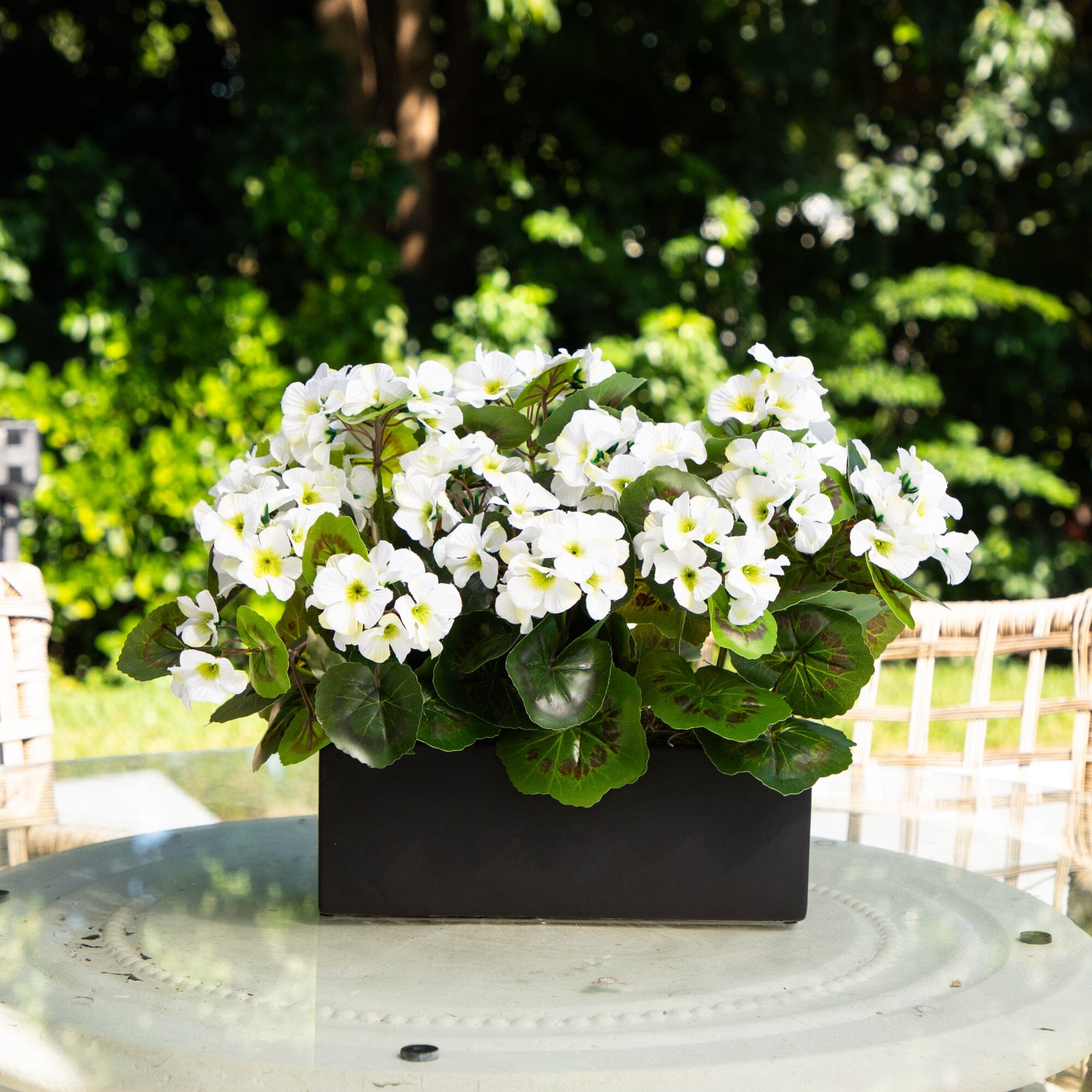 13” Geranium in Rectangular Planter UV Resistant (Indoor/Outdoor)