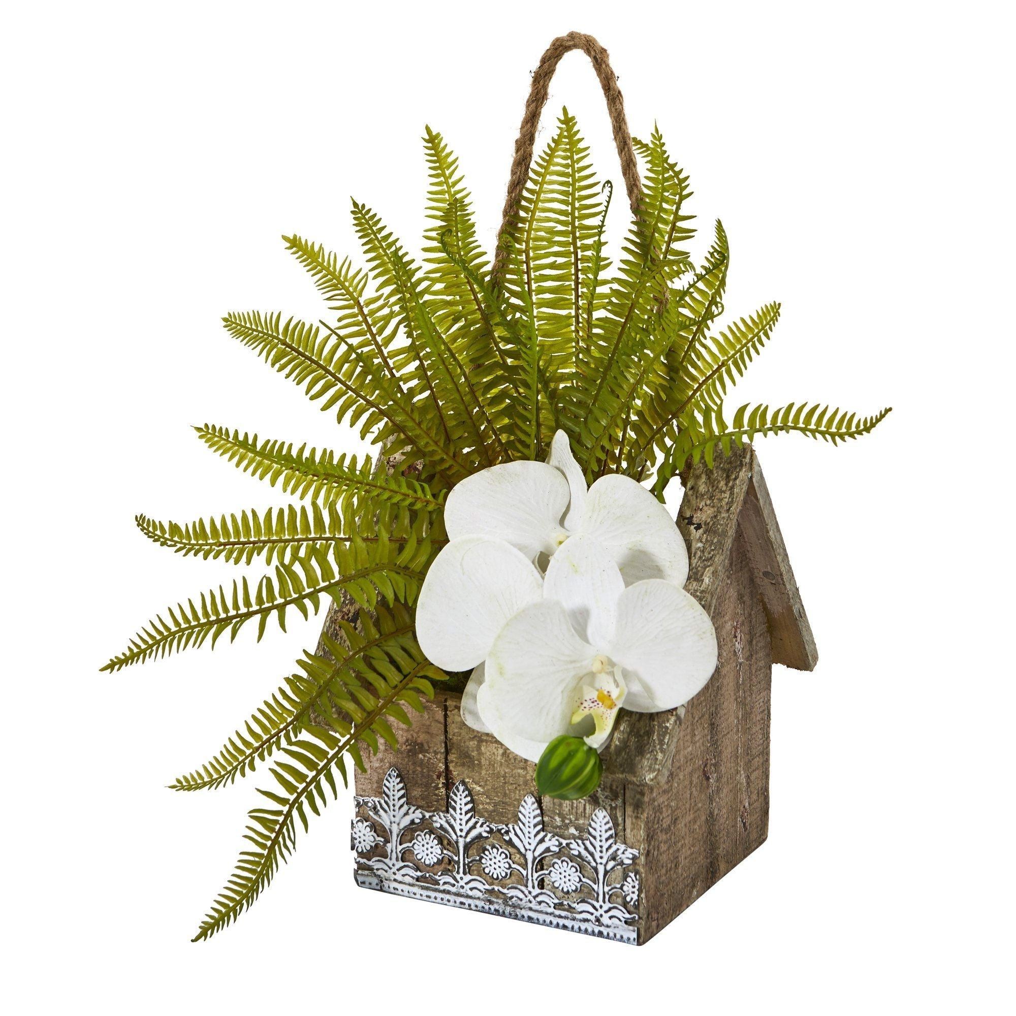 13” Phalaenopsis Orchid and Fern Plant in Hanging Planter