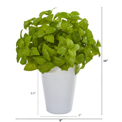14” Basil Artificial Plant in White Planter