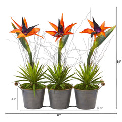 14” Bird of Paradise and Succulent Artificial Arrangement in Trio Metal Planter